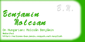 benjamin molcsan business card