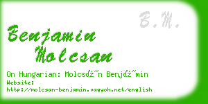 benjamin molcsan business card